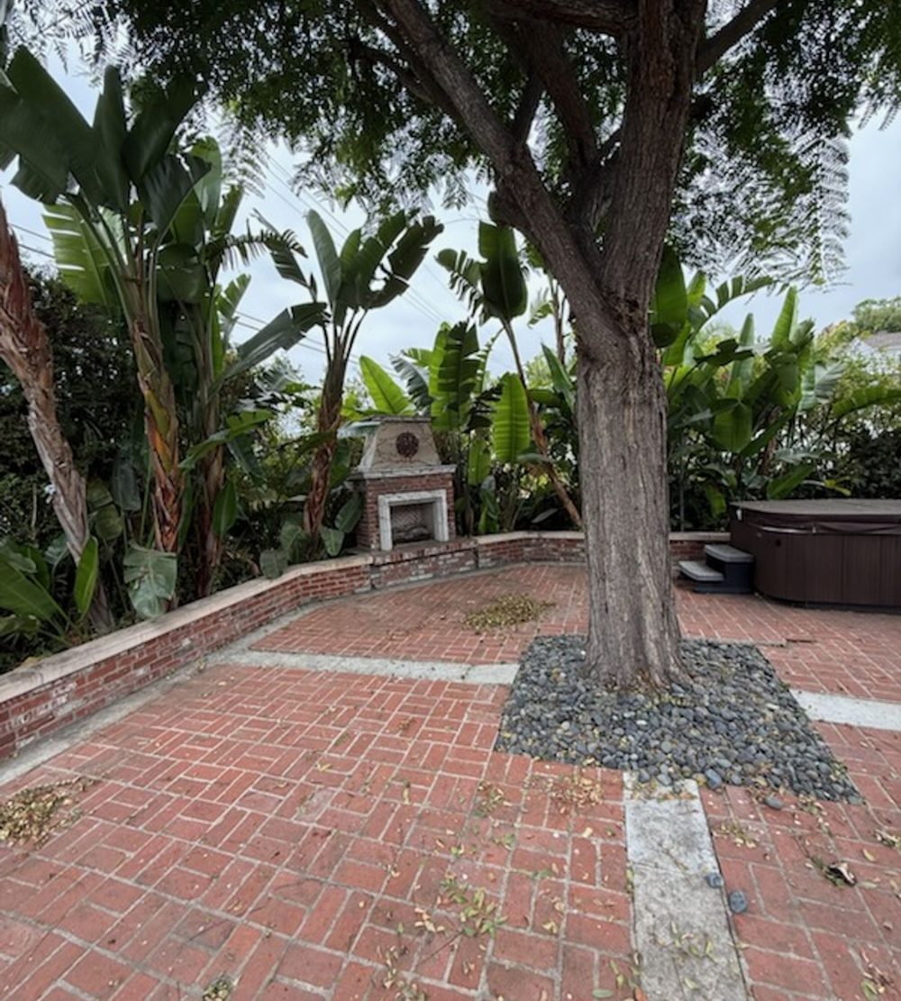 Brick patio around a tree, cleared of junk and debris
