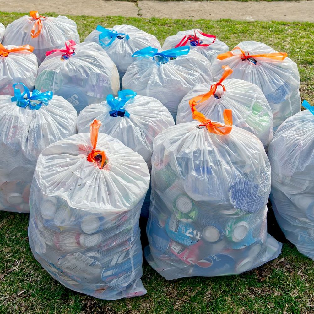 Full trash bags lined up on a lawn for pickup